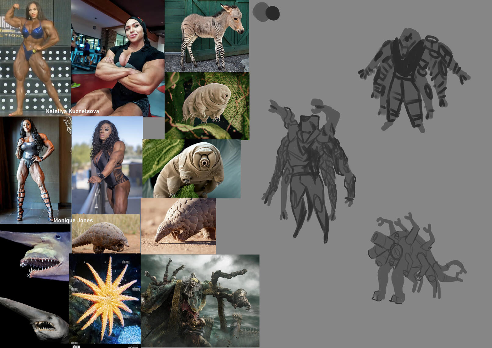 TSANNE EXPLORATION 1